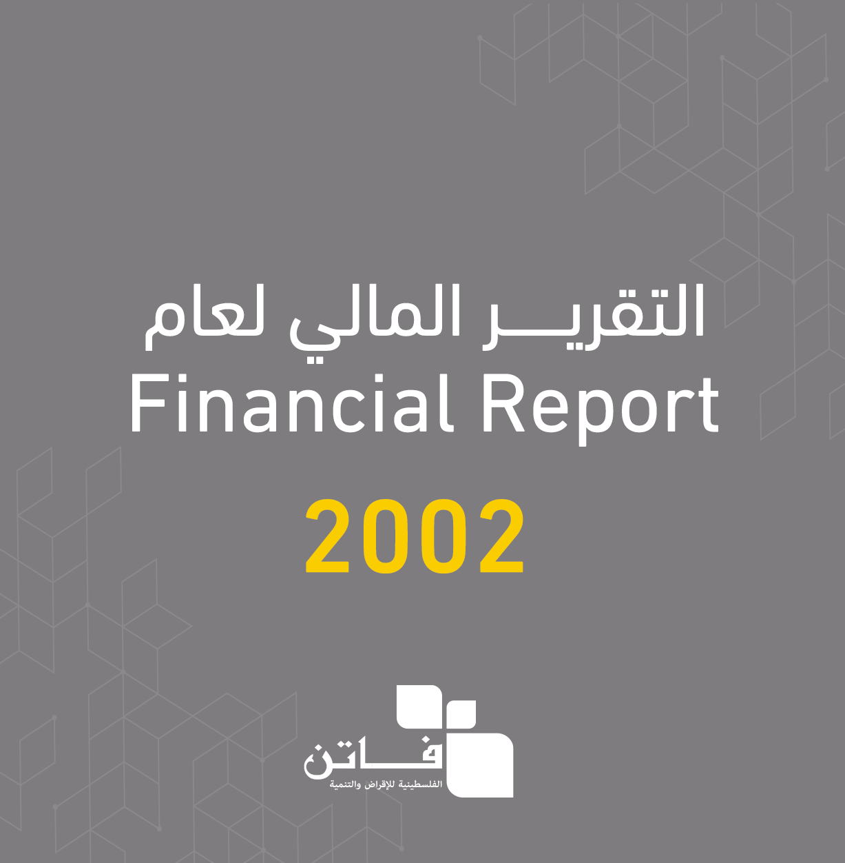 التقرير المالي لعام 2002
